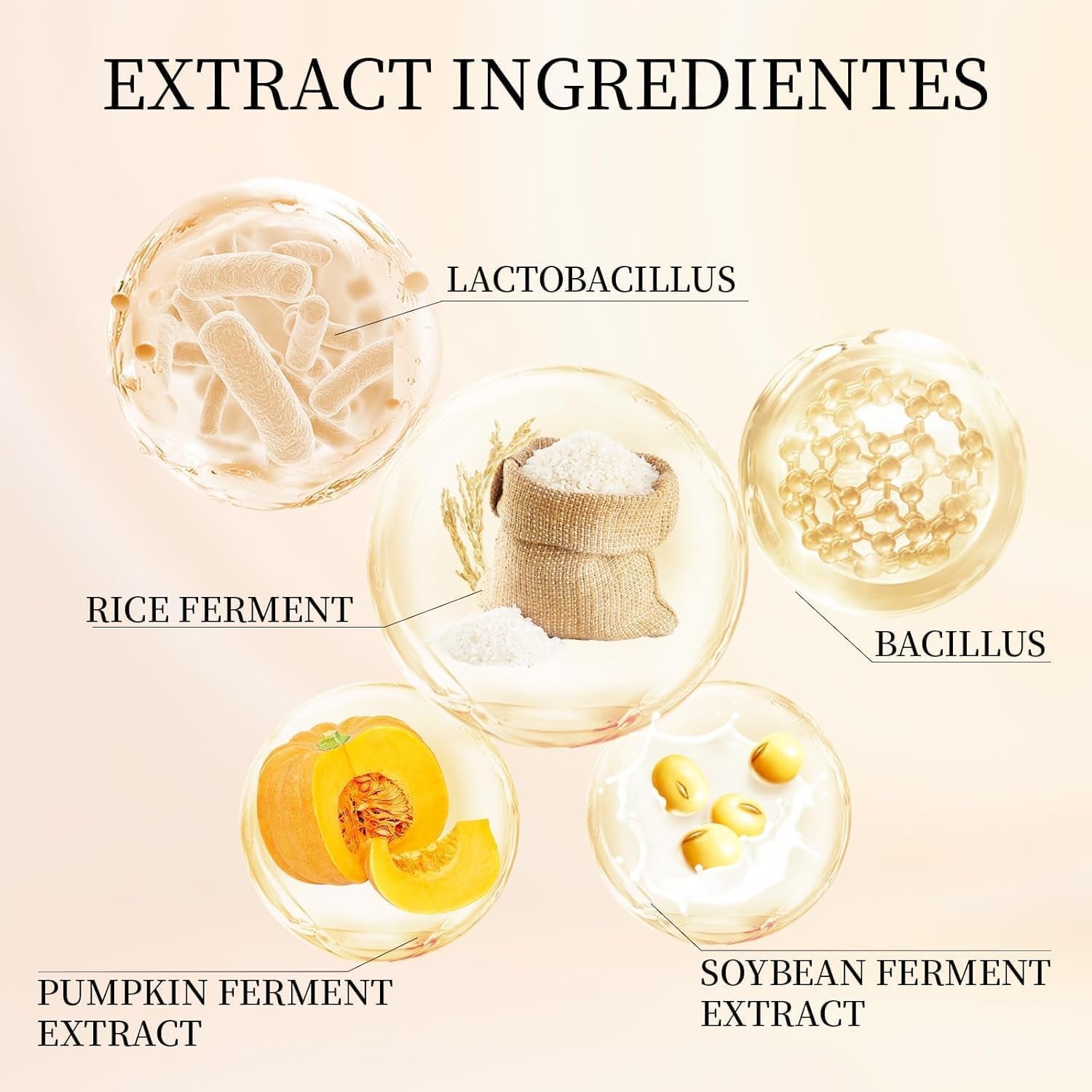 Relief Sun Organic Sunscreen SPF50,+++++PA++ Rice and Probiotics | Korean Skin Care