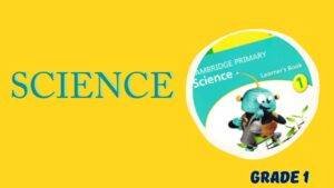 Rich Results on Google's SERP when searching for 'Cambridge Primary Science by Jon Board and Alan'