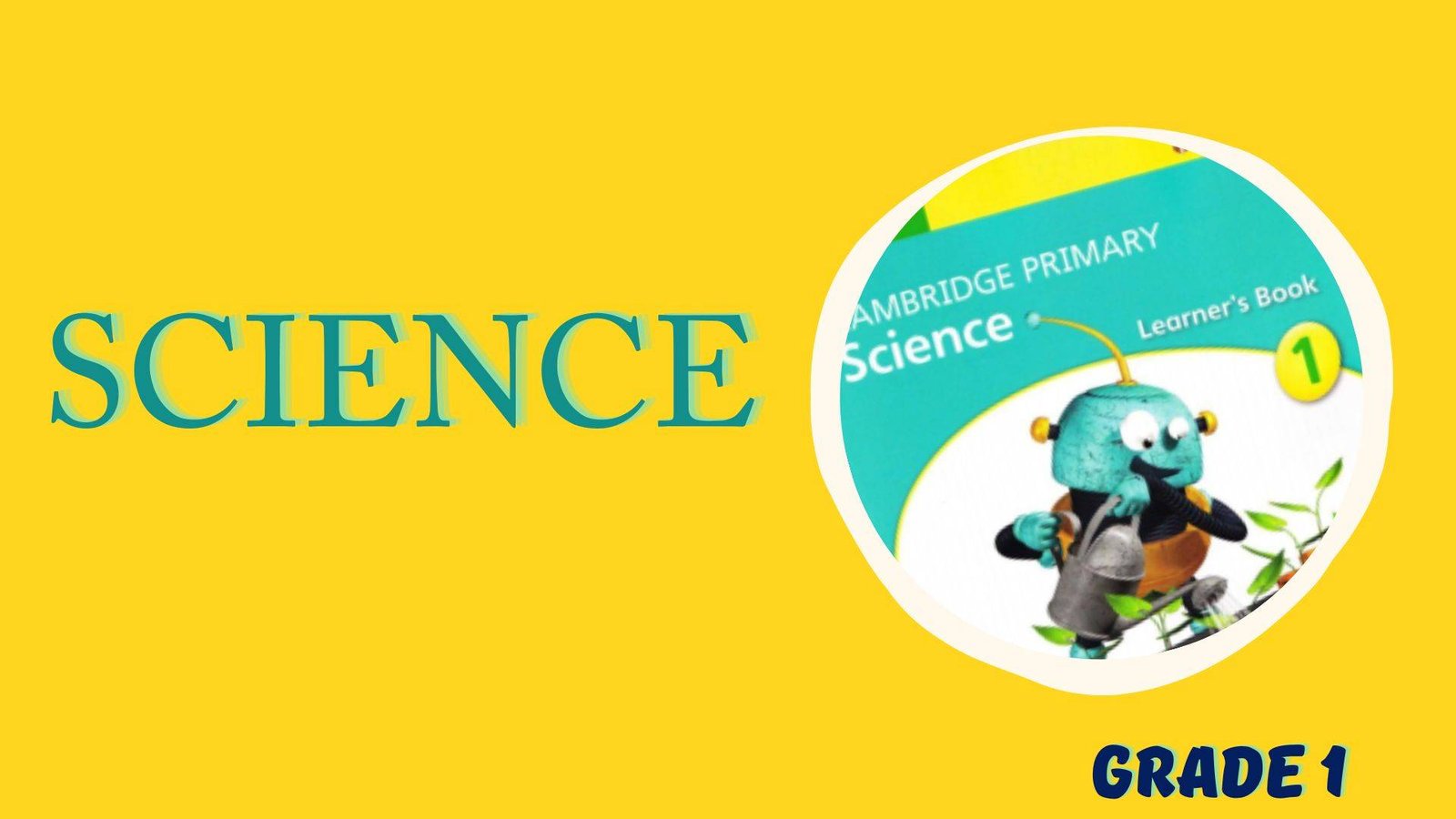 Rich Results on Google's SERP when searching for 'Cambridge Primary Science by Jon Board and Alan'